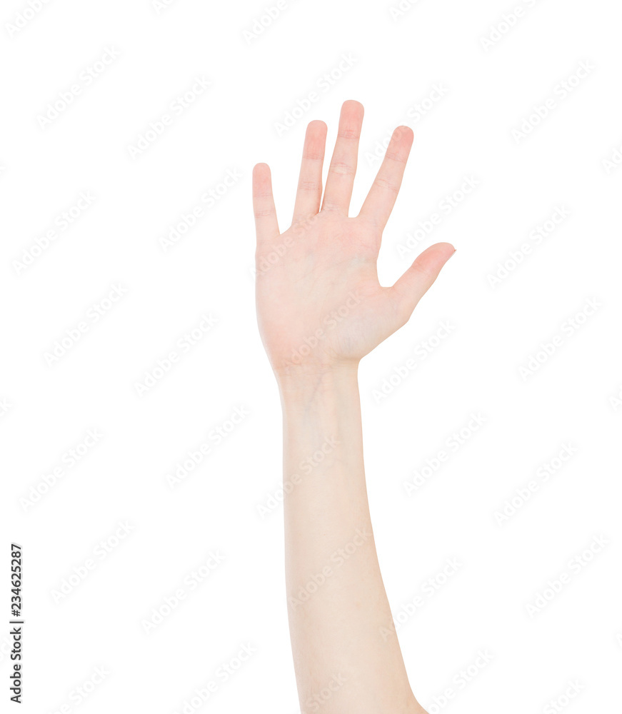 korean,asian hand isolated on white background.Voting hand korean,asian hand isolated on white background.Voting hand