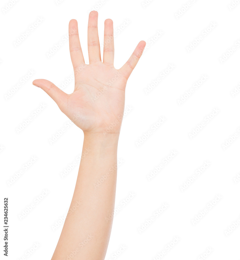 korean, japanese hand isolated on white background, mock up korean, japanese hand isolated on white background, mock up