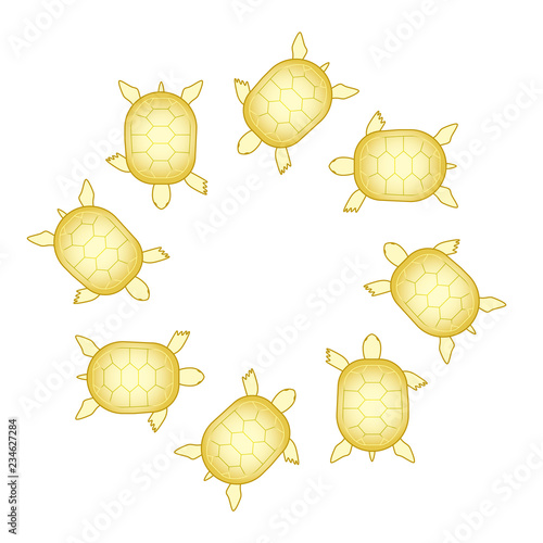 亀のシンクロナイズドスイミング