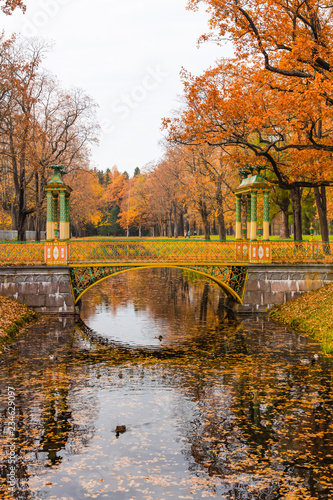 Chinese Bridge. Autumn in Pushkin, St. Petersburg, Russia