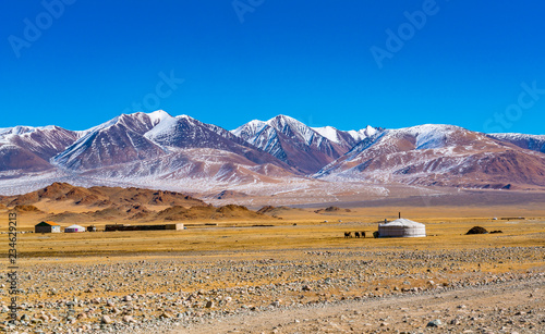 View of Mongolian ger with the herd of sheep and cow on the yellow steppe photo