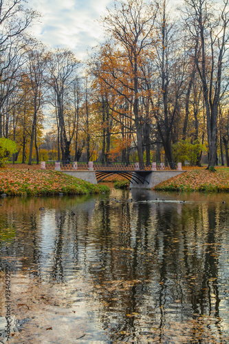 Stone Bridge. Autumn in Pushkin, St. Petersburg, Russia