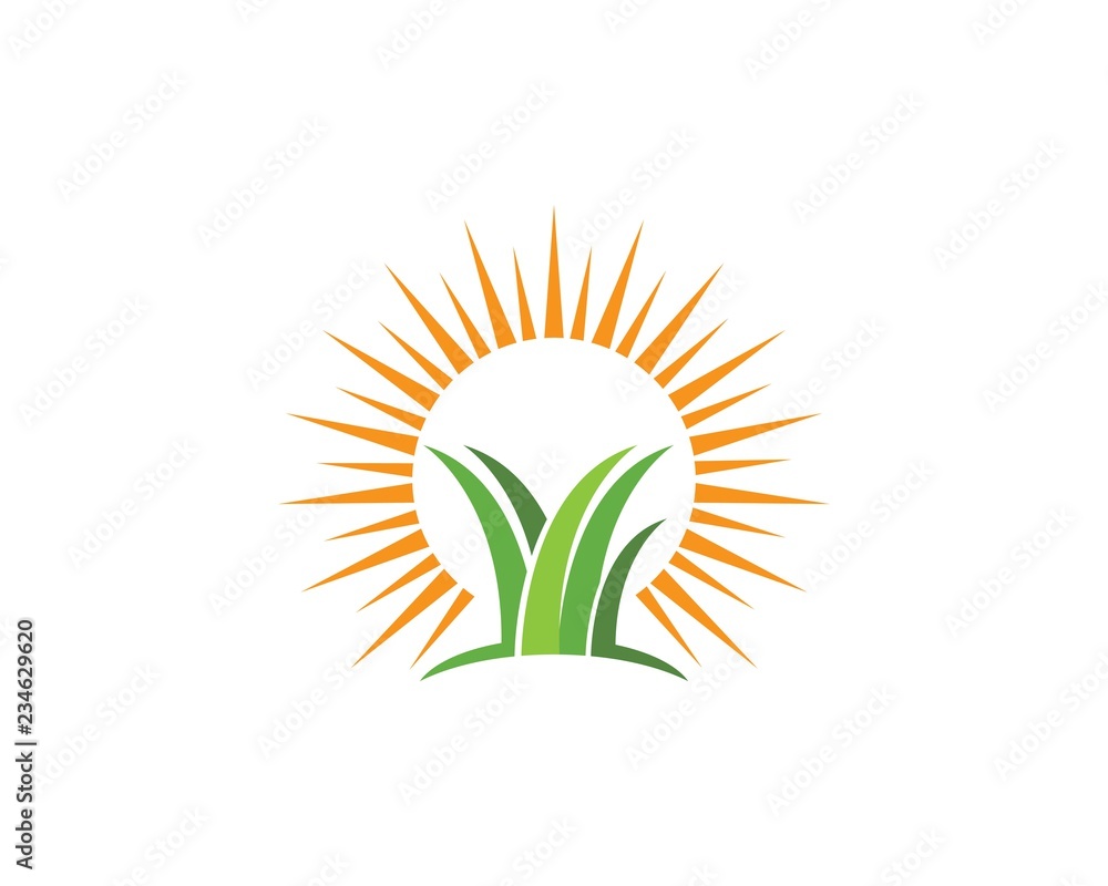 Obraz premium Grass ilustration vector