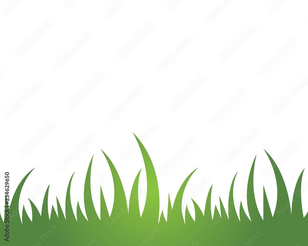 Fototapeta premium Grass ilustration vector