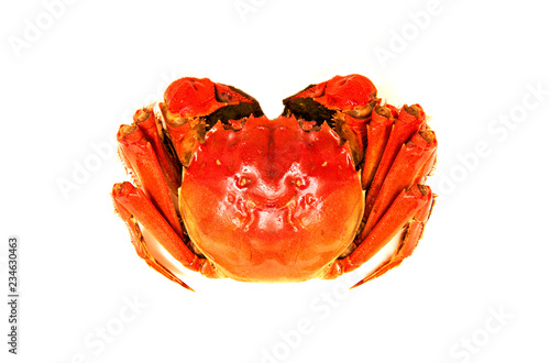 Cooked Chinese hairy crab isolated on white