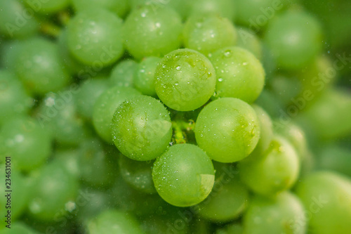 close-up of macro grapes © Алексей Филатов