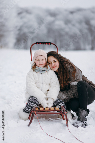 Little sisters have fun in the winter on the snow. Girls ride a sled in a park in the nature. riding on snow slides in winter time. little sisters have fun in the winter on the snow
