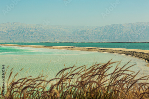 Fototapeta Naklejka Na Ścianę i Meble -  Beautiful coast of the Dead Sea .