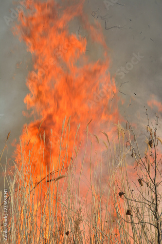 Flame of brushfire 26