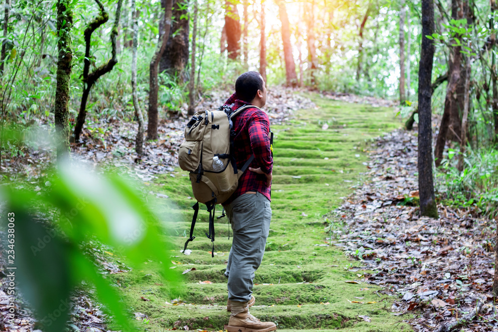 Naklejka premium Hiking man with backpack and trekking boots on the bright green moss passage trail in forest