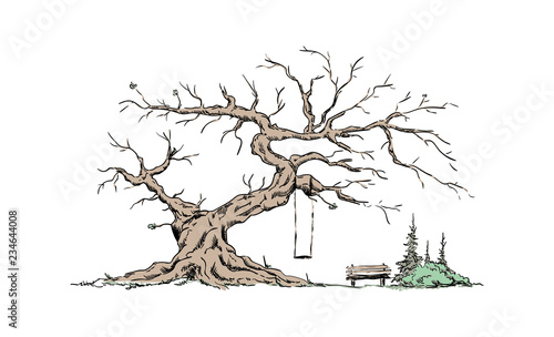 Big old tree