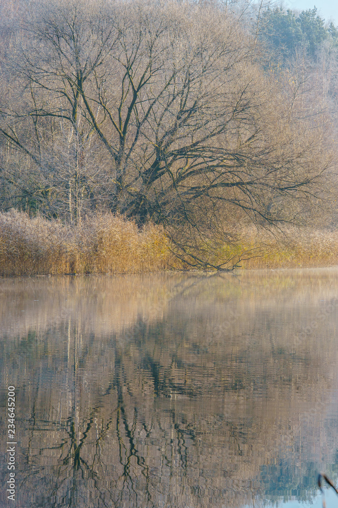 morning views of the river in the fog morning views of the river in the fog
