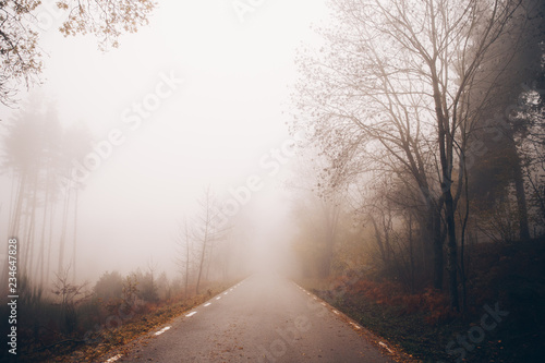 Winter Landscape in the foggy  mountain © lasfotosdexus