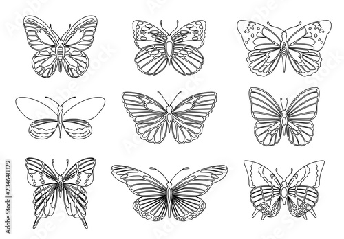 Set of butterflies for design element and adult or kids coloring book page. Vector illustration. © the8monkey
