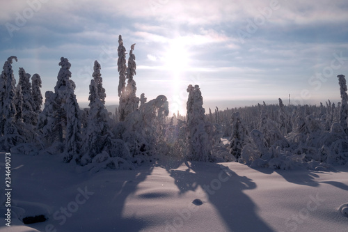 Norefjell / Norway: Dancing little snow crystals sparkle in the afternoon sun