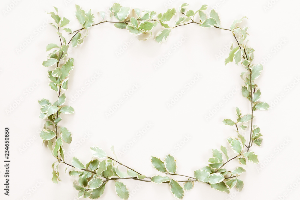 Top view and flat lay of green leaves frame on white pink backgr