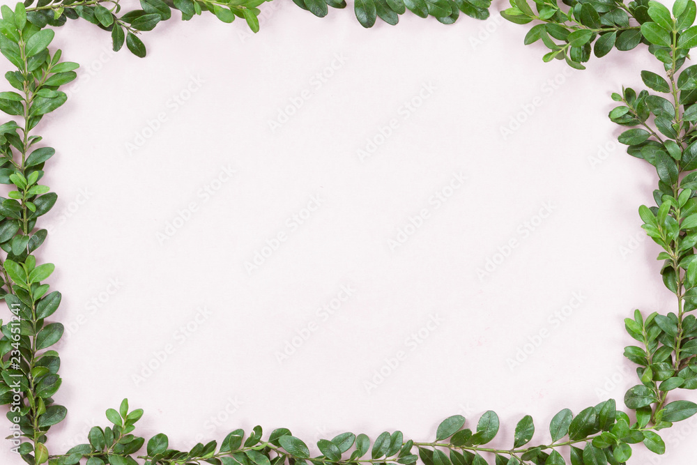 Fototapeta premium Top view and flat lay of green leaves frame on white pink background.