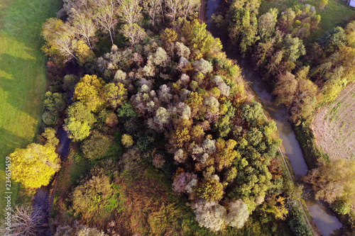 Aerial fall season  only aerial view of colorful autumn trees in orange and red in autumn in the mountains with snow and beautiful natural colors . © Kitreel