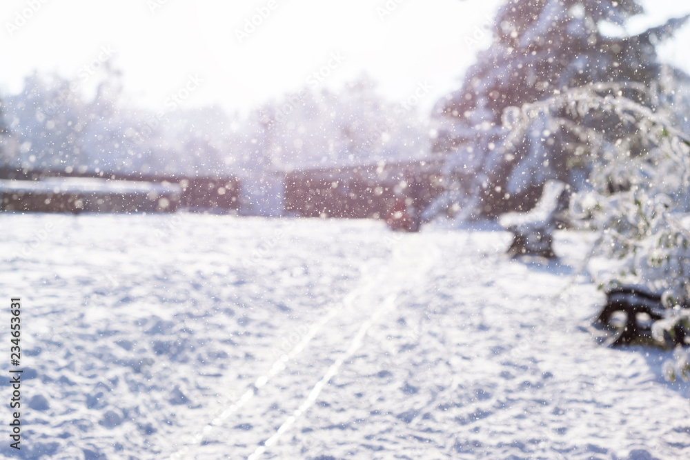 Beautiful morning winter park. Snowflakes. Blurred background Beautiful morning winter park. Snowflakes. Blurred background