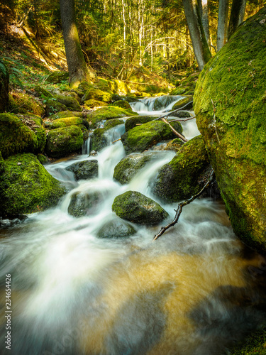 Spring in the Ysperklamm in Yspertal Lower Austria photo