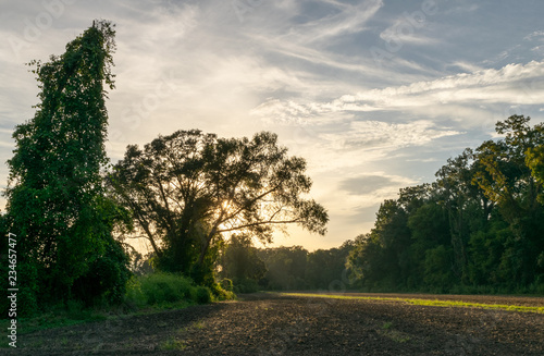 Canvas-taulu afternoon at an Avoyelles Parish farm