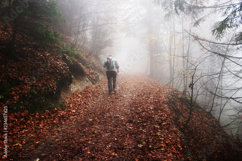 Aufstieg im Nebel