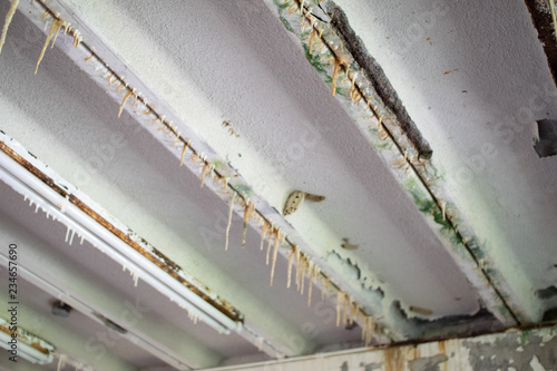 ceiling efflorescence photo