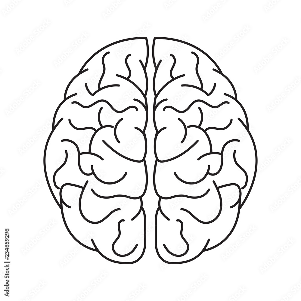 The human brain. Brain icon black. The human brain. Brain icon black.