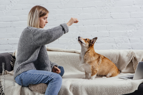 Φωτογραφία beautiful young woman training adorable pembroke welsh corgi with dog treat