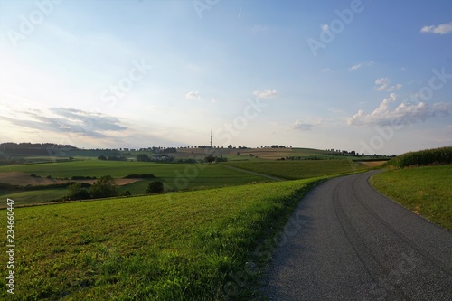 Wiese in Süddeutschland mit Vulkanen und Blick auf die Schweiz