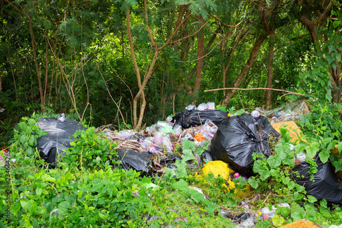 Plastik im Wald