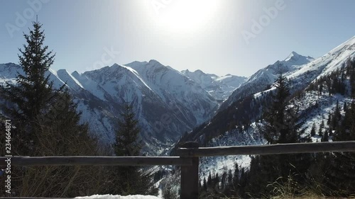 Pan up across pine trees to snowy mountains