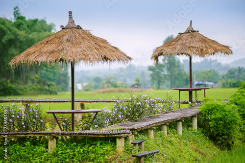 beautiful view of pathway wooden and green rice field in Pua, Nan province, North of Thailand
