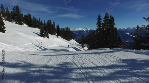 skier POV pine trees