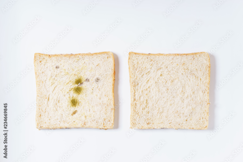 mold on white bread