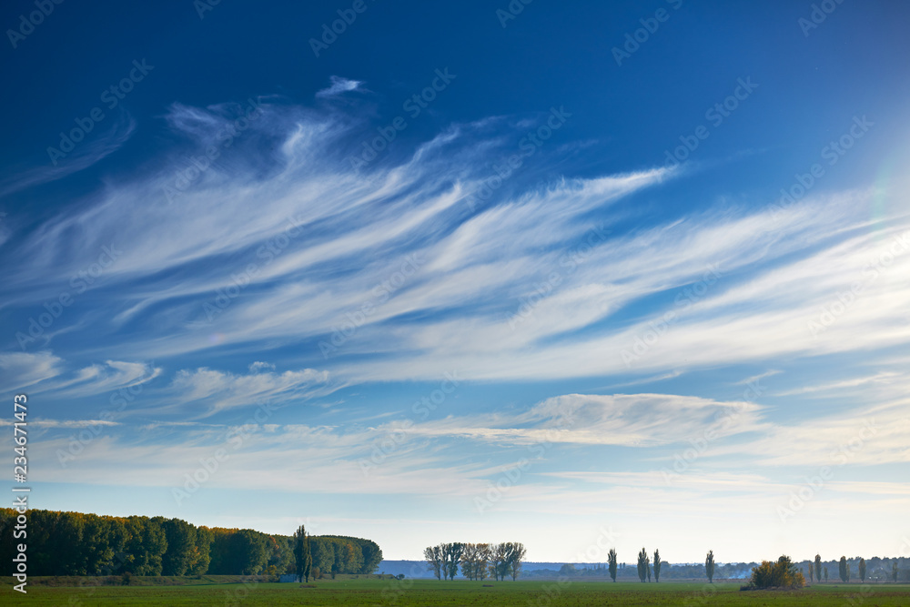 beautiful sky, field and forest in far in autumn season, bright sunlight and cirrus clouds - obrazy, fototapety, plakaty 