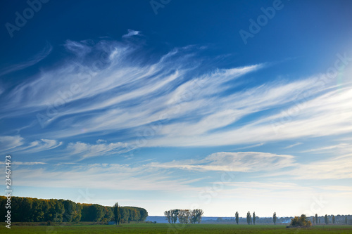 beautiful sky, field and forest in far in autumn season, bright sunlight and cirrus clouds photo