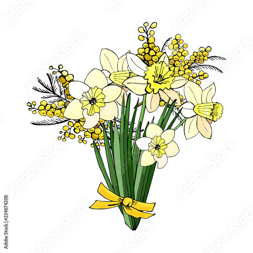 Bouquet of yellow narcissus and mimosa. Hand drawn colored  sketch with flowers and  leaves.