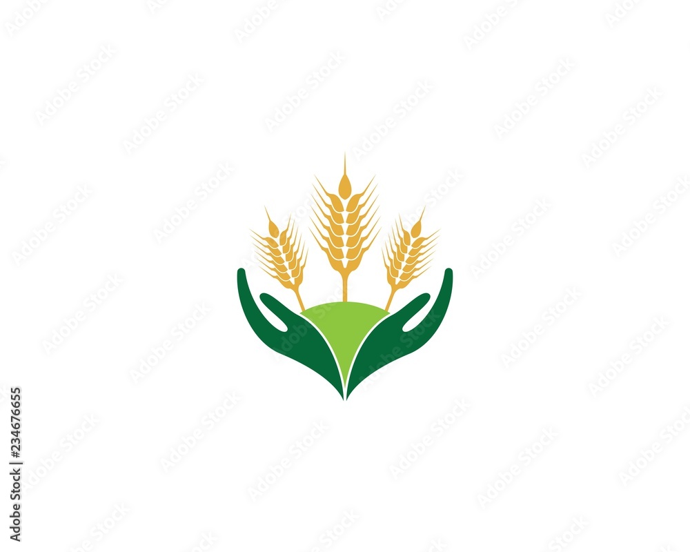 Obraz premium Wheat logo vector icon illustration