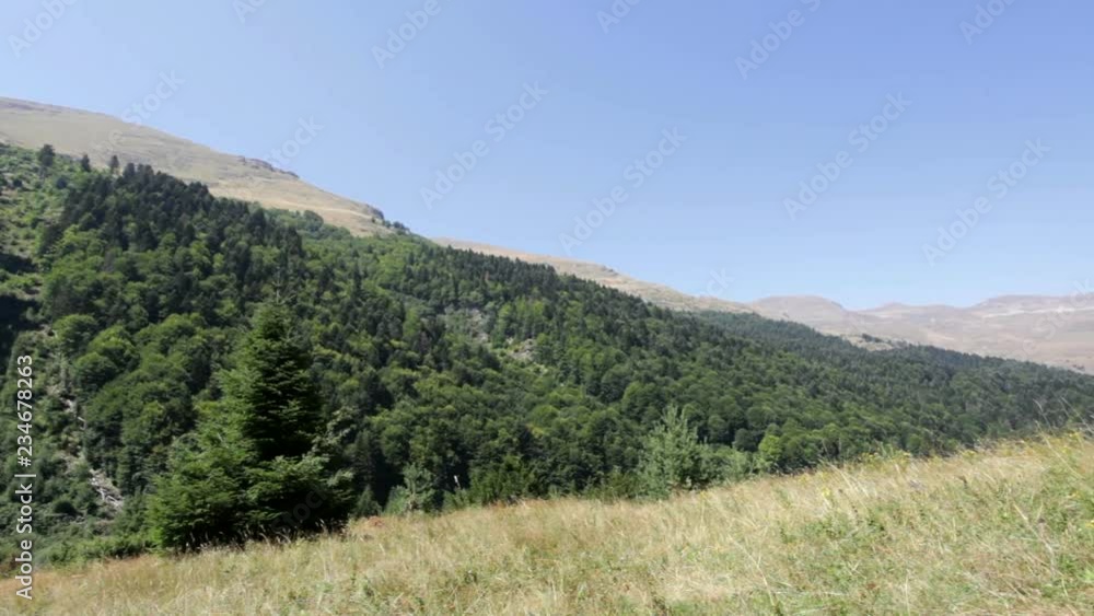 field and mountains scenery on Shar Mountain in Macedonia field and mountains scenery on Shar Mountain in Macedonia