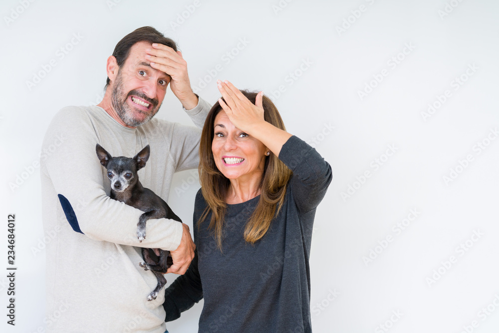 Middle age couple holding small chihuahua over isolated background stressed with hand on head, shocked with shame and surprise face, angry and frustrated. Fear and upset for mistake. Middle age couple holding small chihuahua over isolated background stressed with hand on head, shocked with shame and surprise face, angry and frustrated. Fear and upset for mistake.
