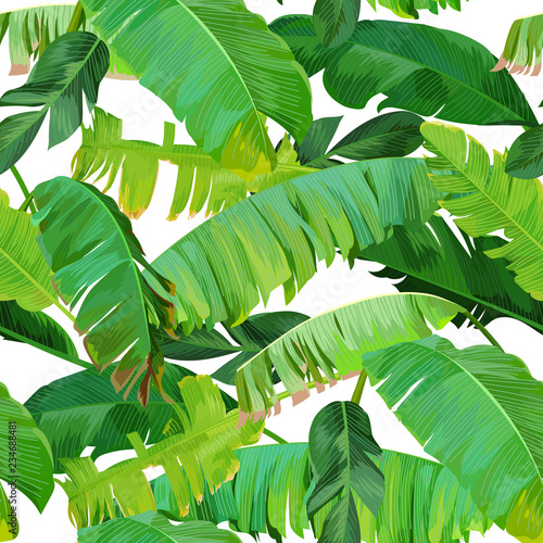 Seamless tropical pattern with banana leaves
