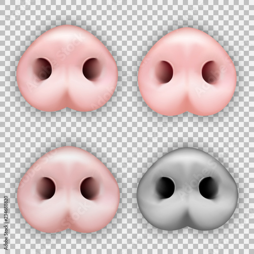 Cute funny pig nose. Symbol 2019 Chinese New Year. Greeting card and calendar design. Set of four elements. On a transparent background. Vector illustration.