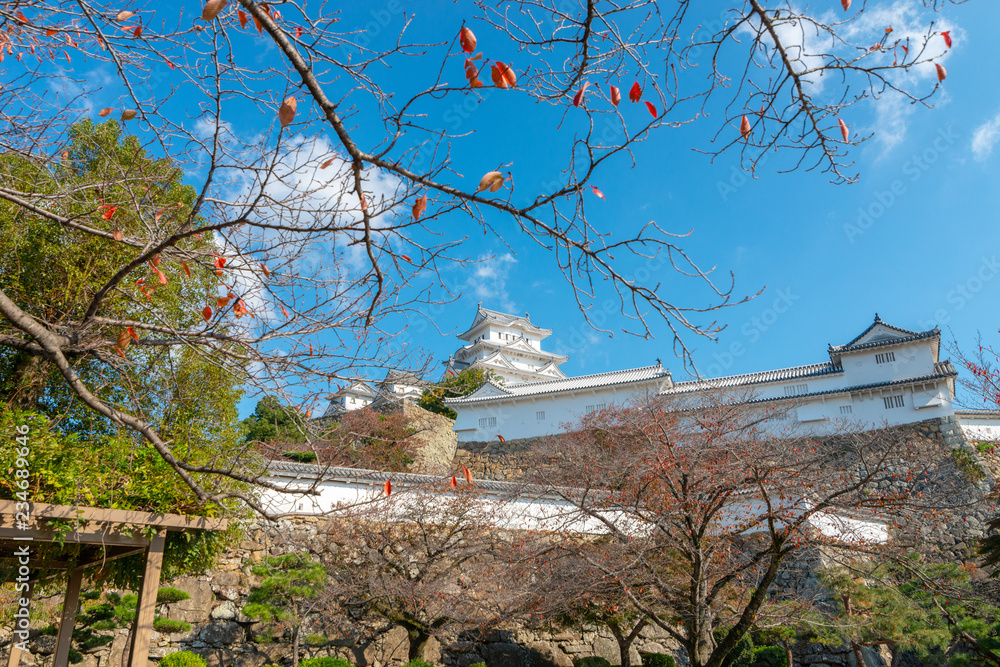 Himeji castle in the background with cherry trees tree during autumn season in Hyogo Prefecture, Japan. Himeji castle in the background with cherry trees tree during autumn season in Hyogo Prefecture, Japan.