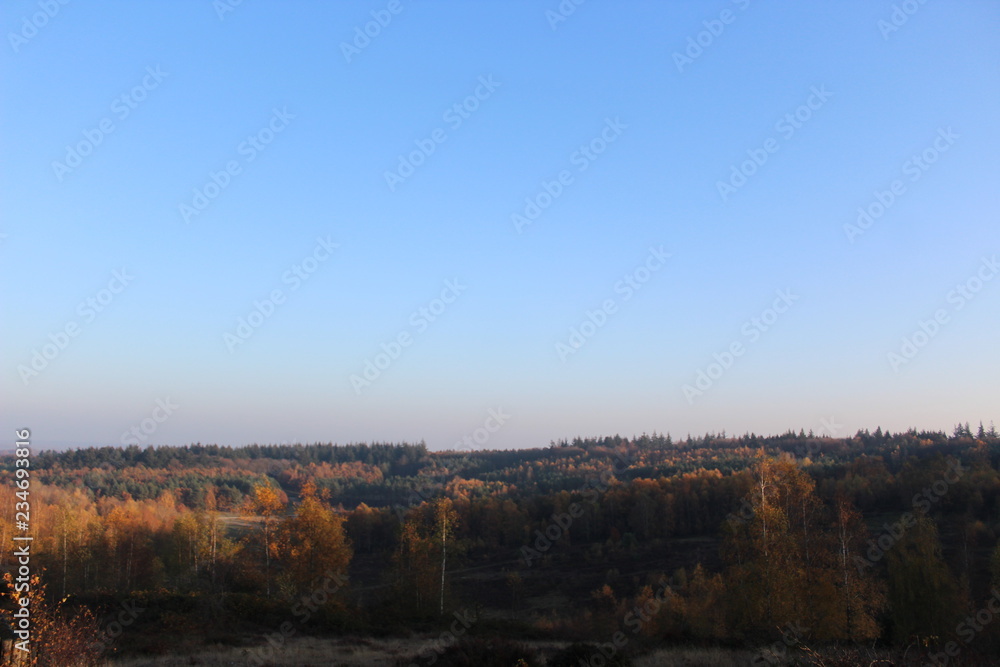 autumn in the park