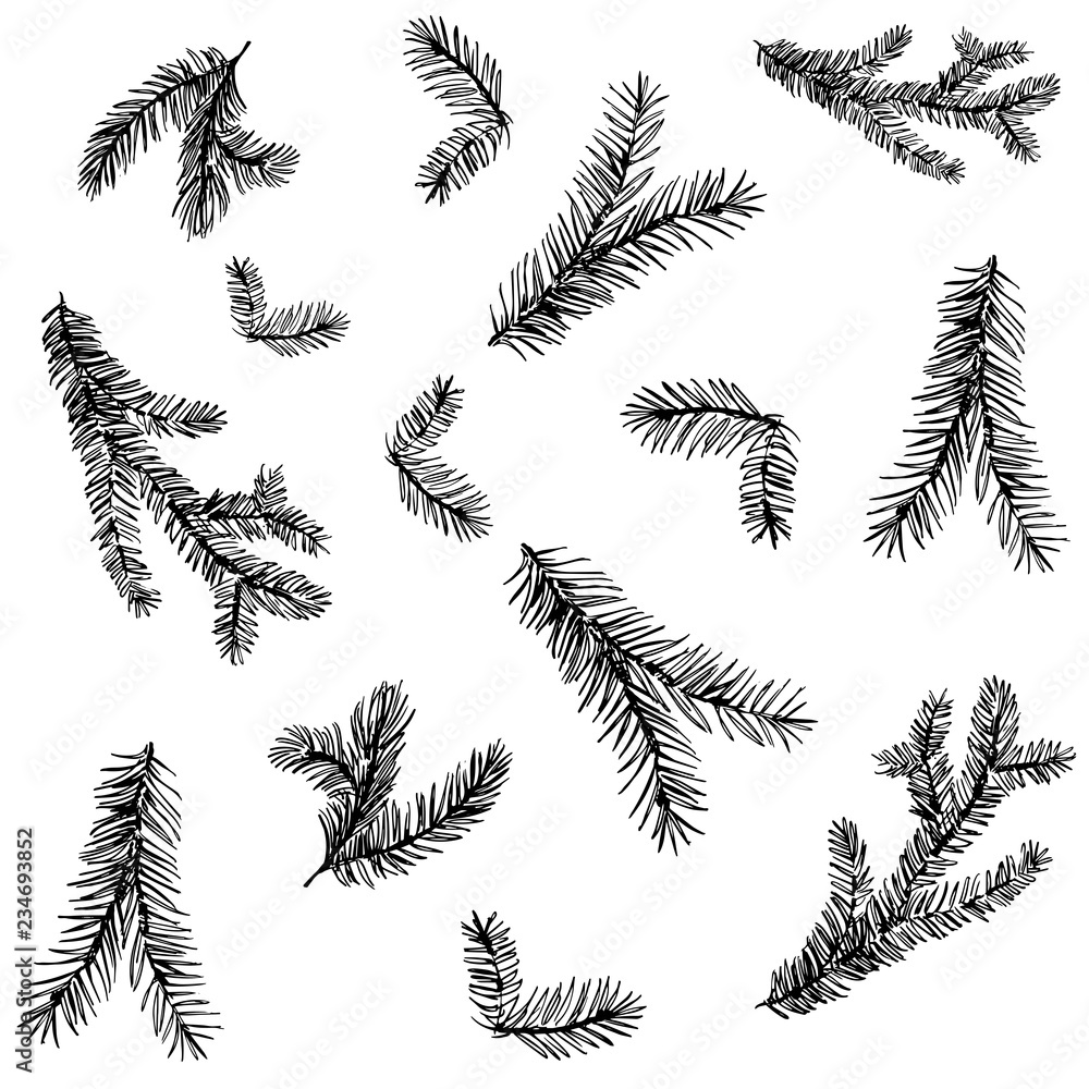 Seamless pattern with pine brunches and cones. Hand drawn vector - obrazy, fototapety, plakaty 