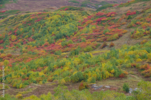 Autumn colors. Scenic view of multi-colored slope. Nature and travel. Georgia, Svaneti region, Mestia, Ushguli