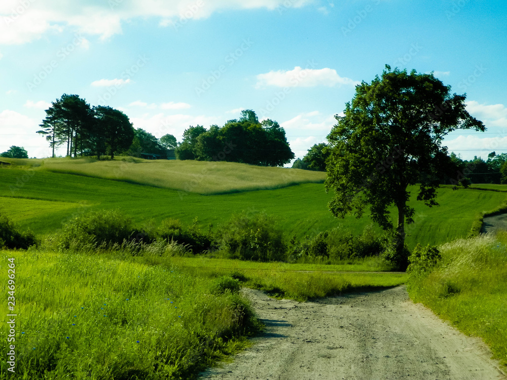 Country landscape, typical Polish nature.