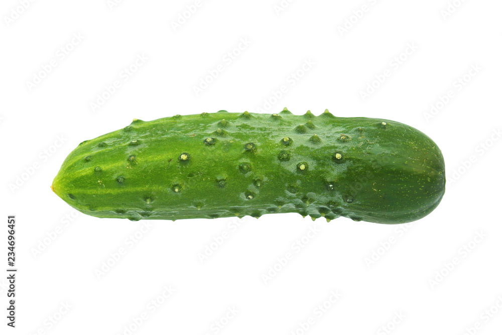 Green fresh cucumber. Close-up. Isolated object on white background. Isolate.