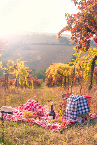 Picnic at sunset in the hills of Italy. Vineyards and open nature in the fall. Romantic dinner, fruit and wine. Copy space. Free space for text.